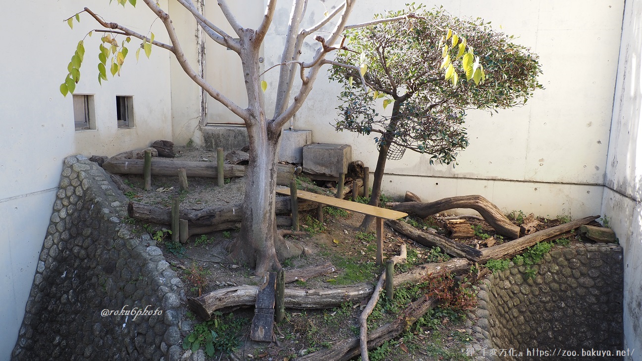 東山動植物園 日本産動物舎 外観