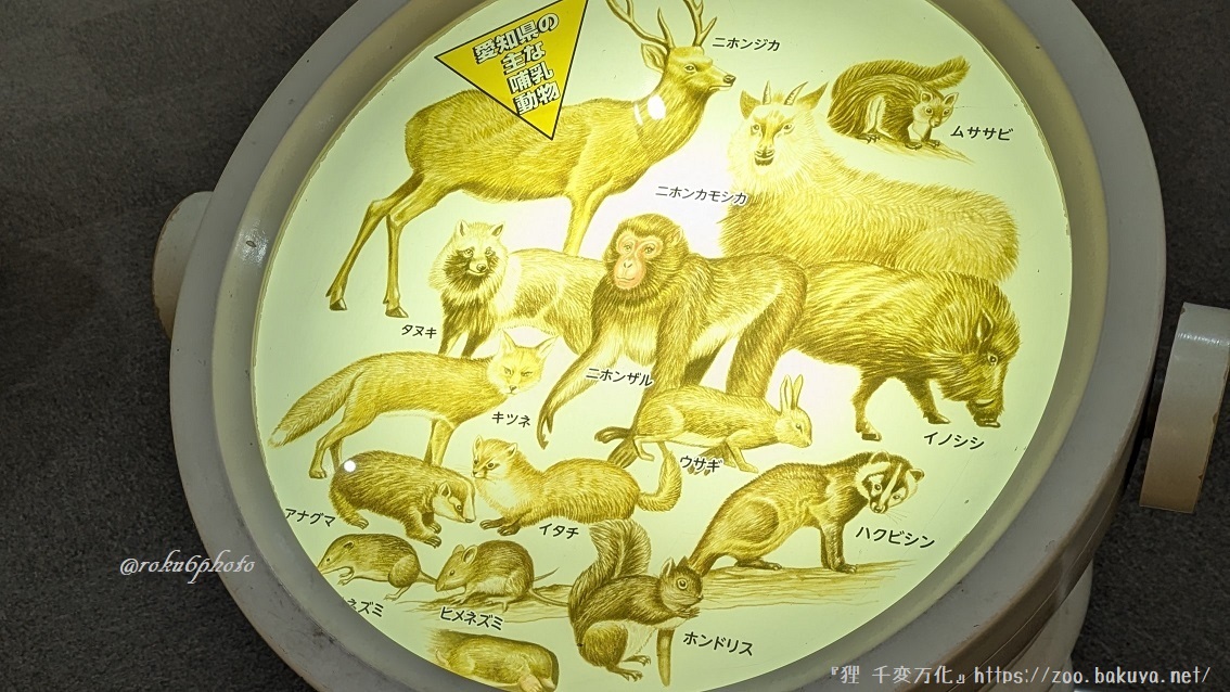 東山動植物園