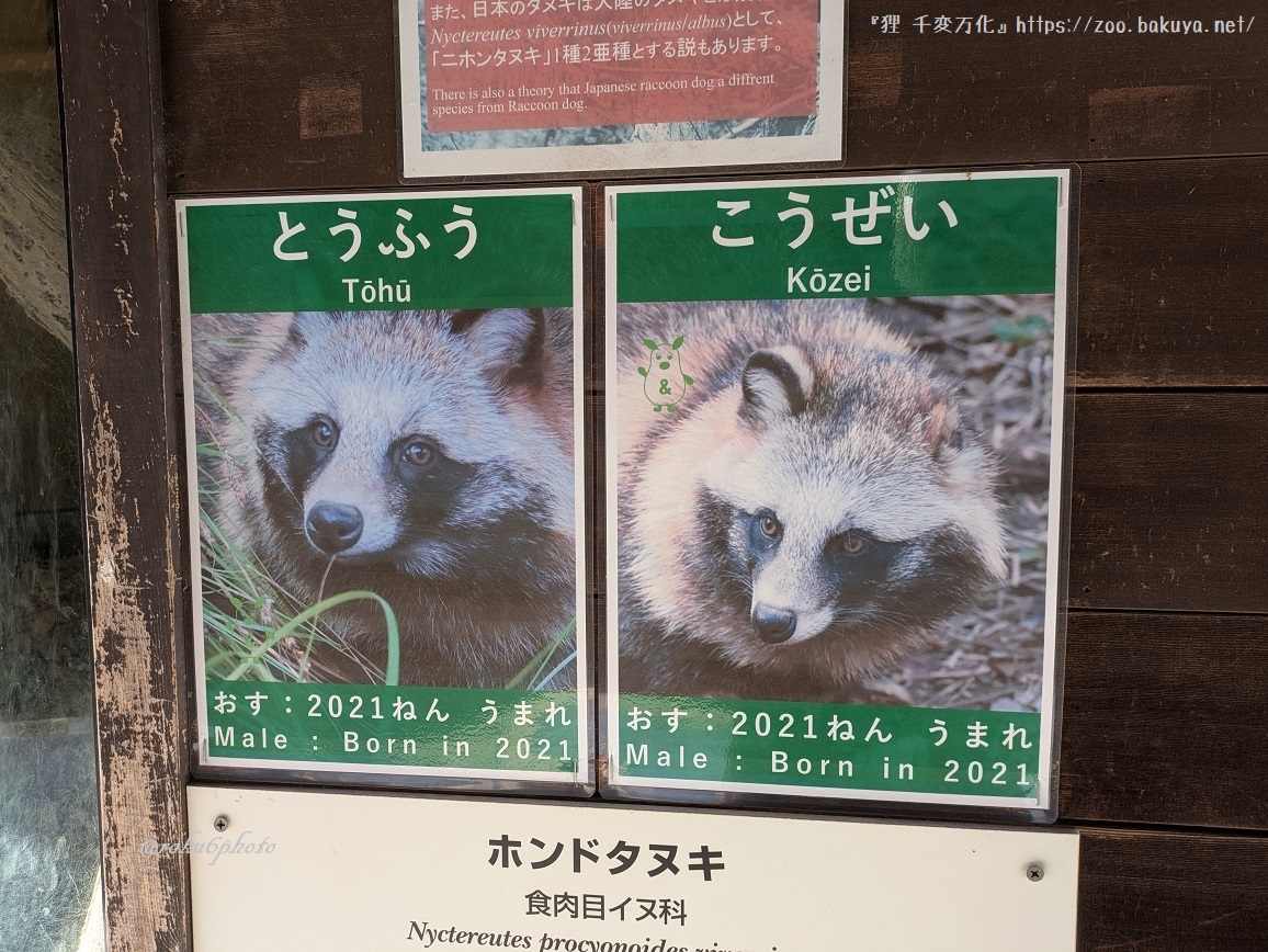 東山動植物園