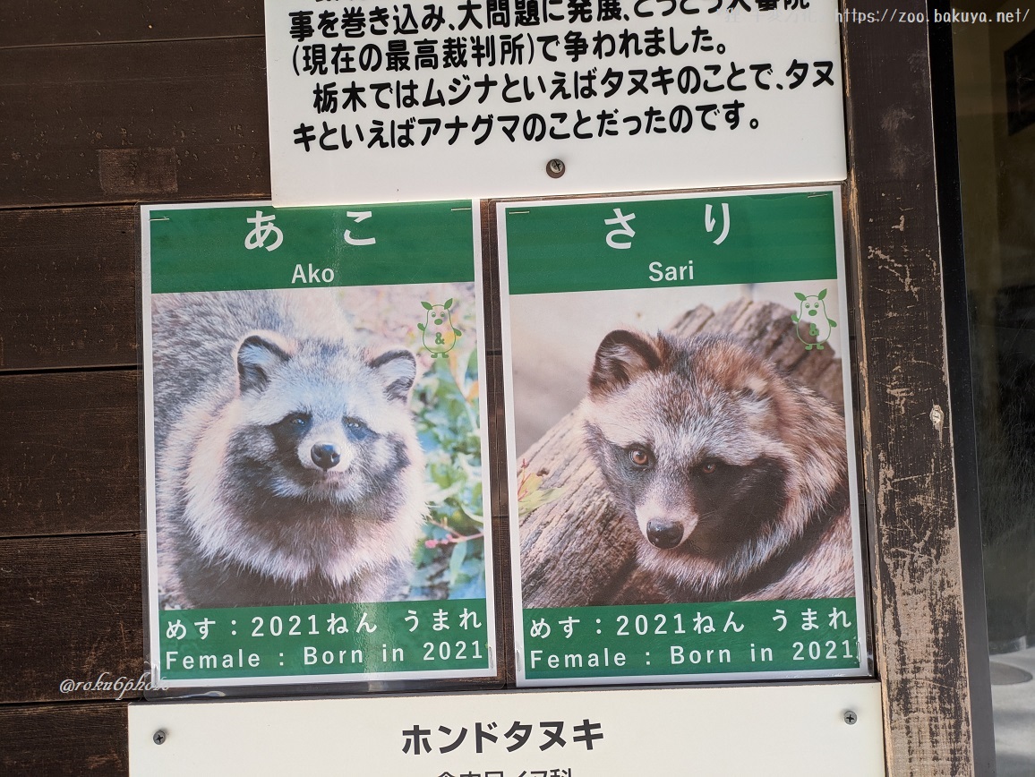 東山動植物園