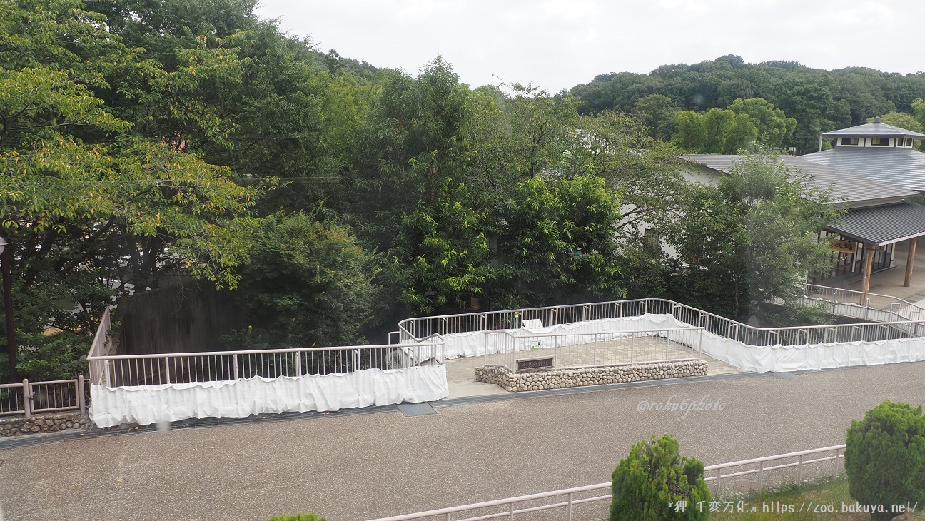 東山動植物園 タヌキの里