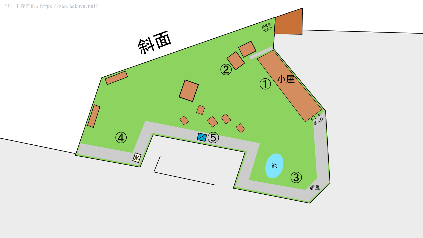 東山動植物園 タヌキの里