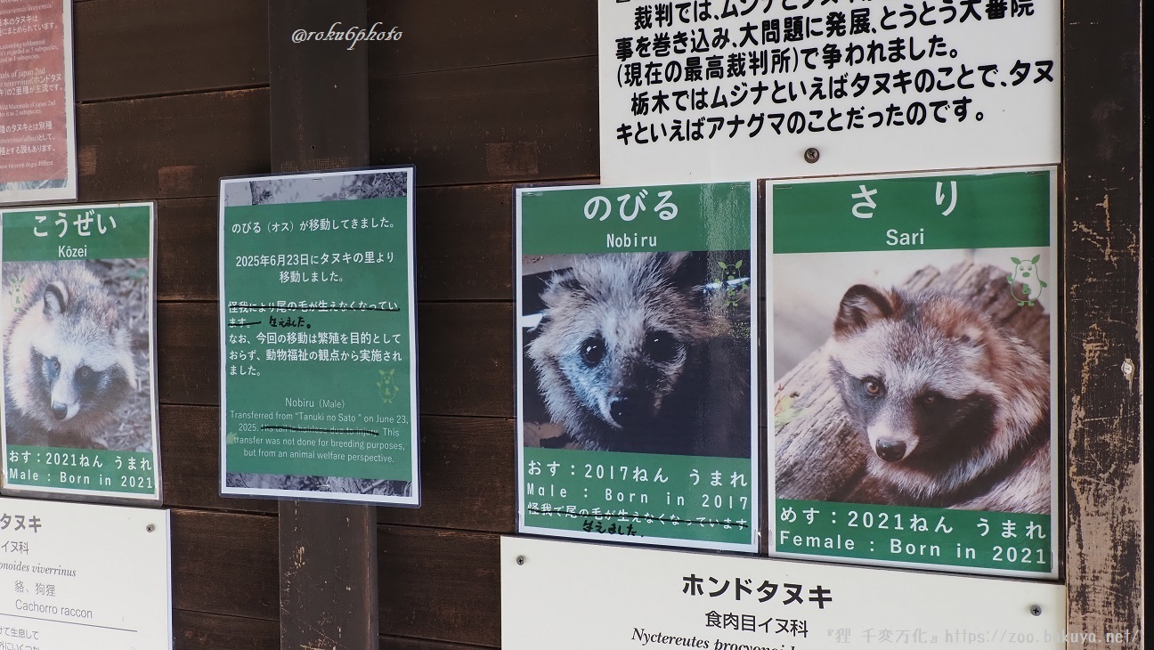 東山動植物園 日本産動物舎