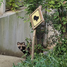 アルプス公園小鳥と小動物の森