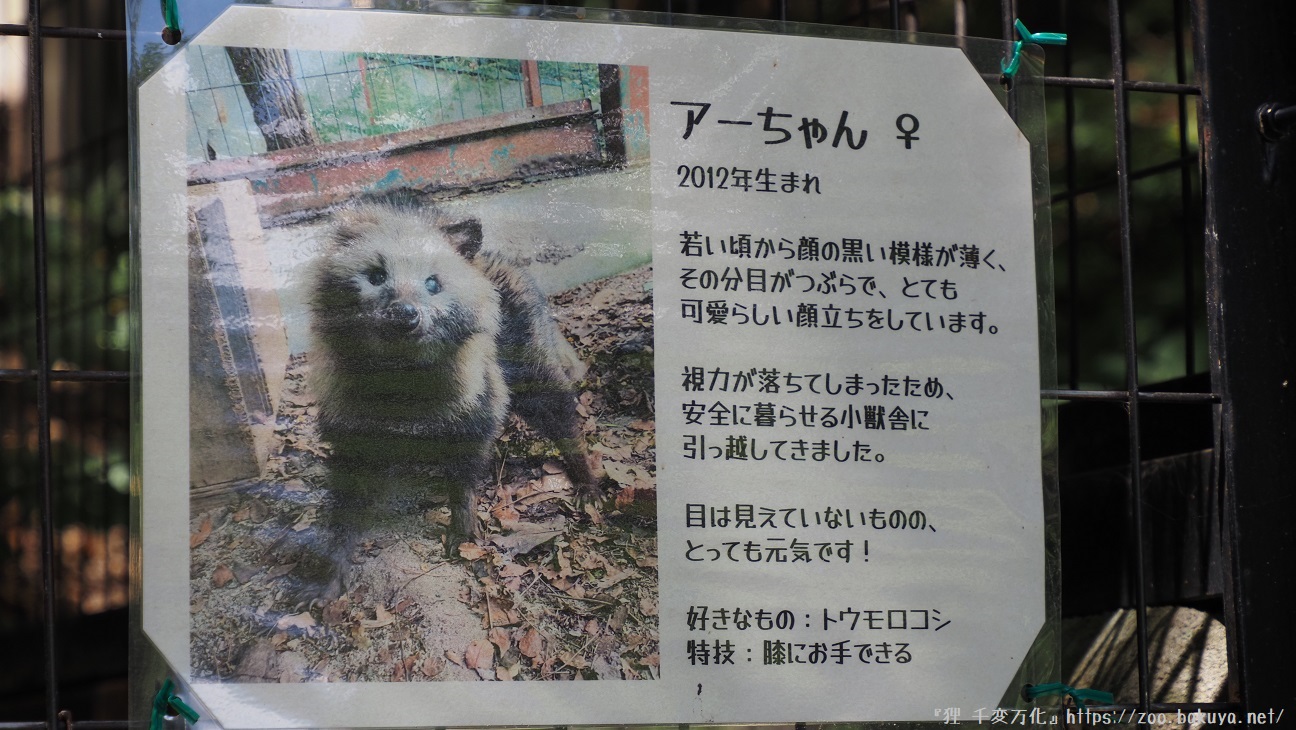 アルプス公園 ホンドタヌキ掲示物