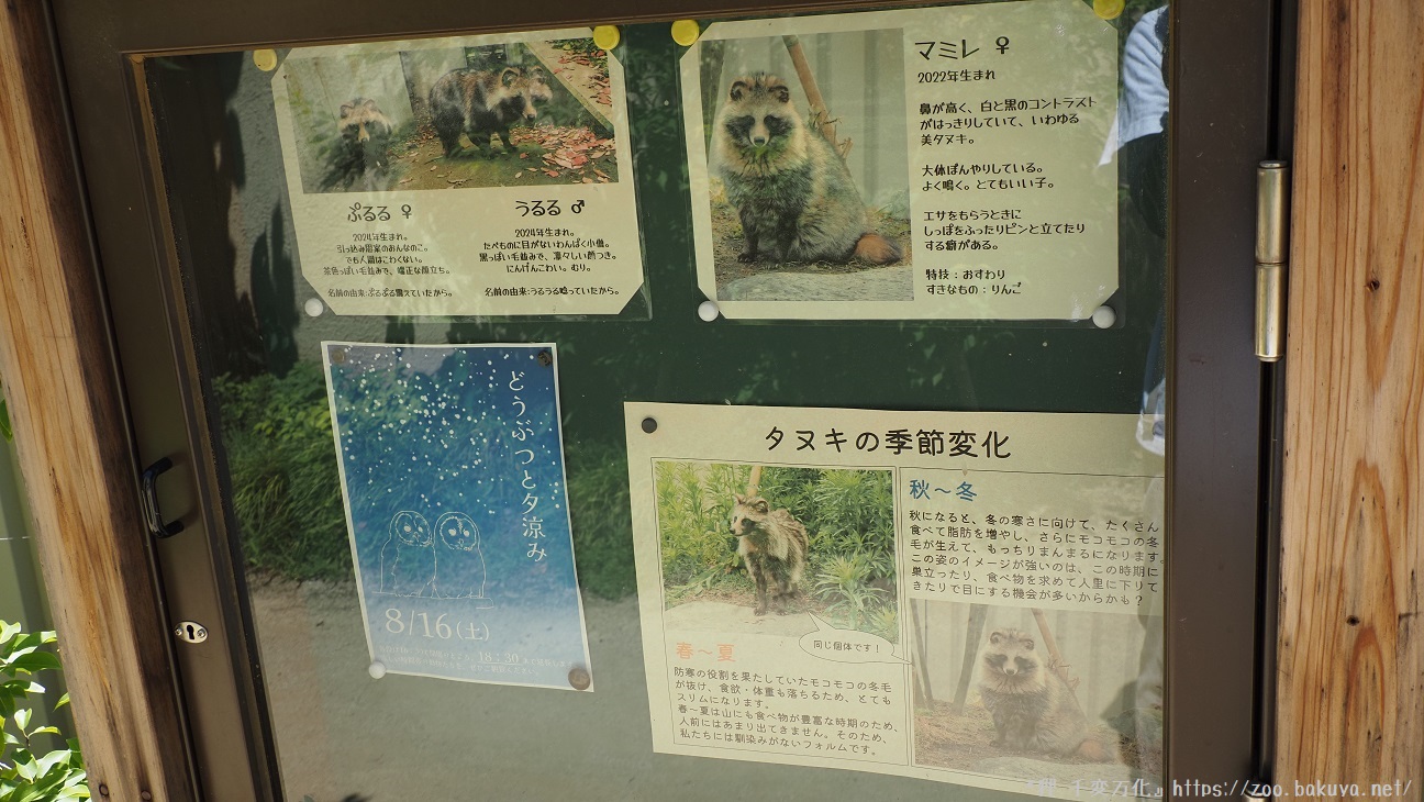 アルプス公園 ホンドタヌキ掲示物