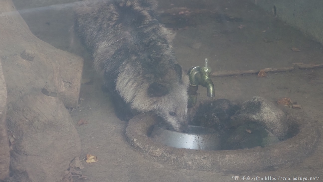 アルプス公園 小獣舎