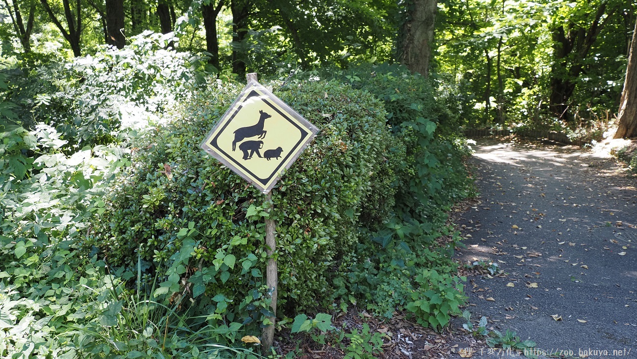 アルプス公園