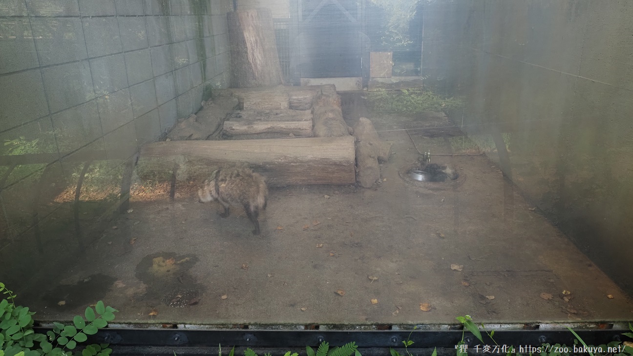 アルプス公園 小獣舎
