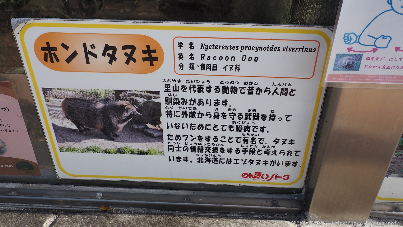 のんほいパーク ホンドタヌキ掲示物