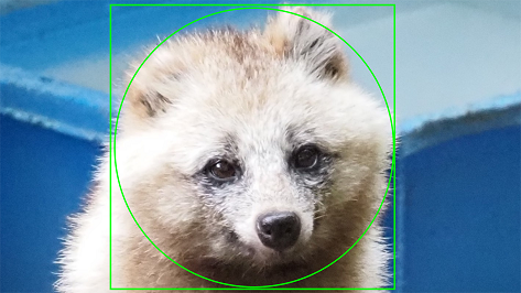 顔写真サンプルNG例