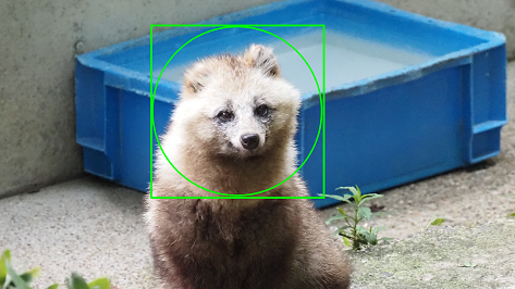 顔写真サンプルOK例